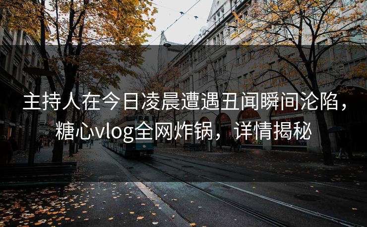 主持人在今日凌晨遭遇丑闻瞬间沦陷，糖心vlog全网炸锅，详情揭秘